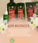 Yves Rocher каталог (01.06.2025 - 30.06.2025)